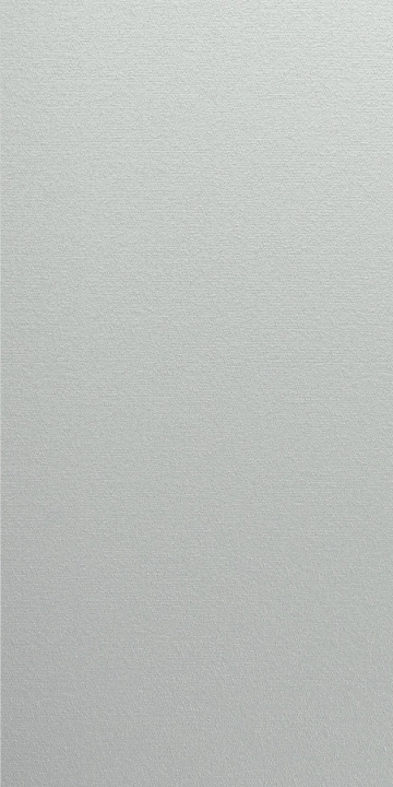 Cotto D'este Wonderwall Silver Slab naturalna 50x100 cm gr. 4 mm